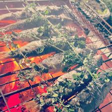 Image result for Chelon richardsonii