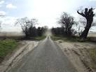 TF8002 : These roads are dusty - via Daymix