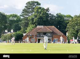Image result for Fareham and Crofton Cricket Club