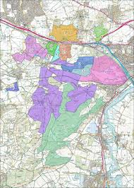 Attēlu rezultāti vaicājumam “Leiocolea rutheana”