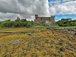 Image result for dunvegan