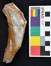 Image result for SEM micrographs of Novaculite Arkansas