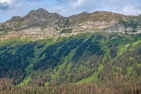 Image result for Leek Park B C