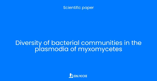 Attēlu rezultāti vaicājumam “Diderma hemisphaericum plasmodium”