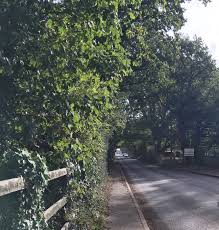 Image result for Plough Angling Society