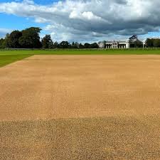 Image result for Chichester Priory Park Cc