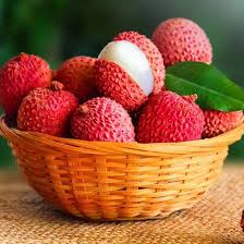 Image result for Litchi chinensis