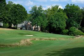 Image result for Gosfield CC