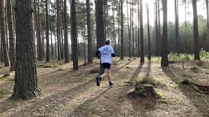 Image result for Bracknell Forest Runners