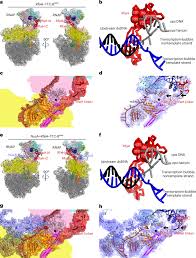Image result for The 3E`s Ttc