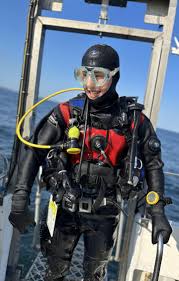 Image result for Aylesbury Ducks Sub Aqua Club