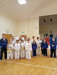 Image result for Hed Tkd (Dorking Tae Kwon-Do)
