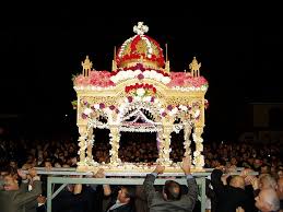 Attēlu rezultāti vaicājumam “Epirhoe tristata”