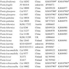 Attēlu rezultāti vaicājumam “Postia leucomallella”