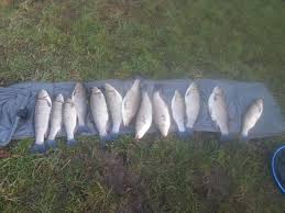 Image result for Plough Angling Society