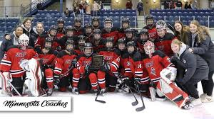 Image result for Uwe Hockey Club