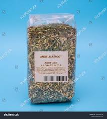 Attēlu rezultāti vaicājumam “Angelica archangelica fruit”