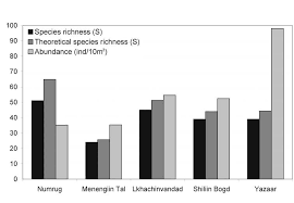 Attēlu rezultāti vaicājumam “Belbodamaeus sp.”