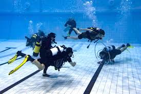 Image result for Richmond Sub-Aqua Club