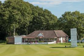 Image result for Henfield Cricket Club