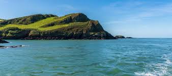 Image result for Watermouth Yacht Club