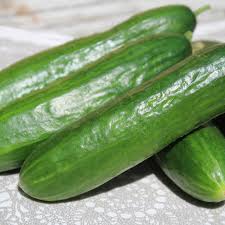 Image result for Gurke