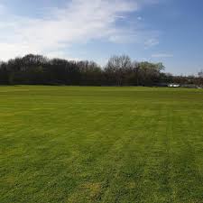 Image result for Glodwick Cricket Club