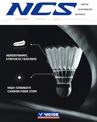 Image result for Feathers (New Milton) Badminton Club