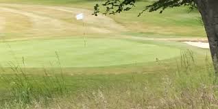 Image result for Woll Golf Course