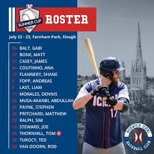 Image result for Norwich Iceni Baseball Club