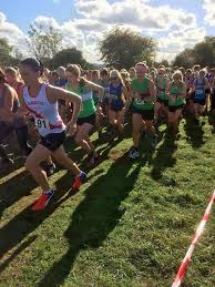 Image result for Cheltenham and County Harriers