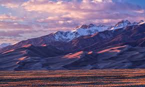 Image result for mountain top seashell