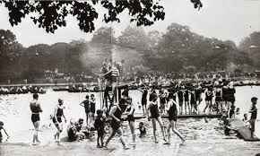 Image result for Serpentine Swimming Club
