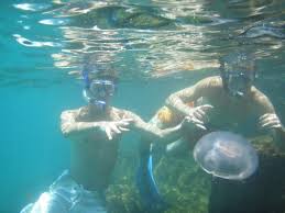 Image result for East Snorkellers