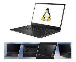 Image result for linux penguin
