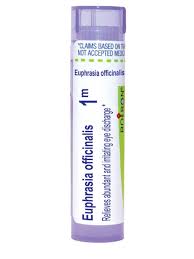 Attēlu rezultāti vaicājumam “Euphrasia”