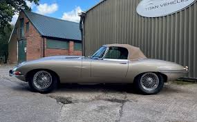 Image result for Golden Sand 1962 Jaguar