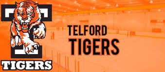 Image result for Telford Tigers