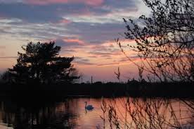 Image result for Bexleyheath and District Sea Angling Society