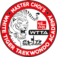 Image result for White Tiger Martial Arts