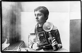 Attēlu rezultāti vaicājumam “Dianema depressum young”