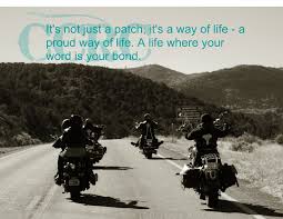 Image result for Celtic Crusaders