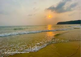 Image result for goa beaches