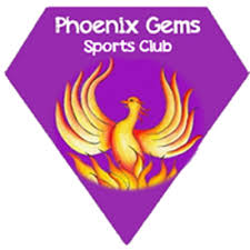 Image result for Crickets Netball Club