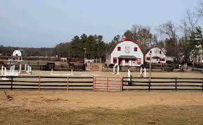 Image result for The Riding Centre