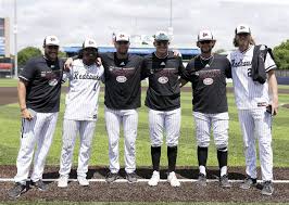 Image result for Lincoln St Andrews Badminton Club