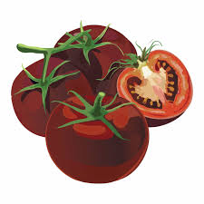 Afbeeldingsresultaat voor carbon tomato