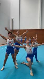 Image result for Spelthorne School Of Gymnastics