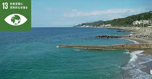 Image result for 耐震 大津波無力