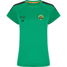 Image result for Shillingstone Cricket Club